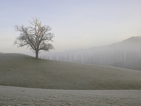 Photograph Lorentz Gullachsen Teme Valley on One Eyeland